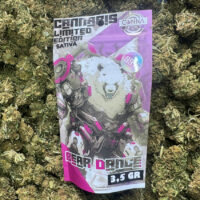 Sativa - Bear Dance – 3,5gr – 99%