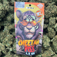 Indica - Cheeta Piss – 3,5gr – 99%
